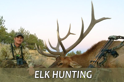 Elk Hunting in Wyoming
