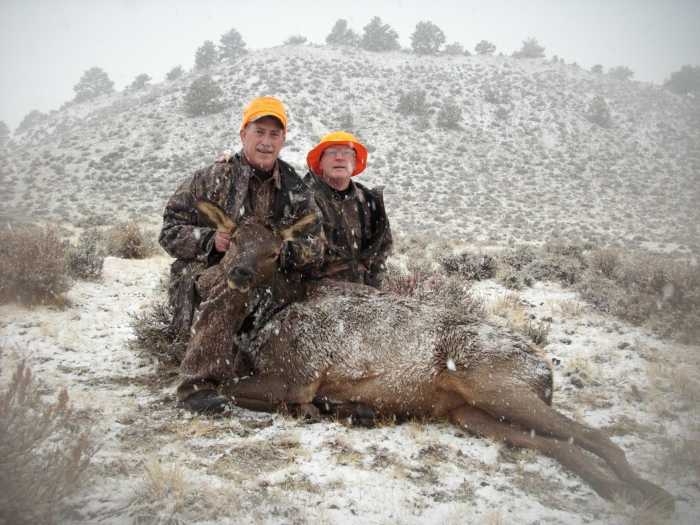 Elk Hunting Wyoming's Area 113