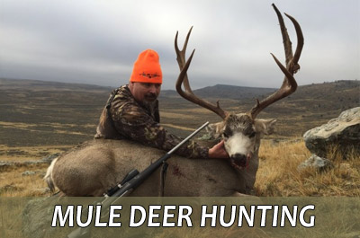 Mule Deer Hunting in Wyoming