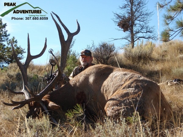 Wyoming Elk Hunts